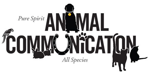 Animal Communications