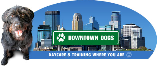 Downtown Dogs Logo